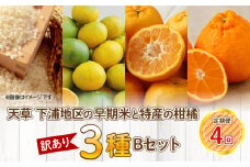 S040-T03_【定期便4回】天草 下浦地区の早期米と特産の柑橘3種Ｂセット(訳あり)【先行受付】