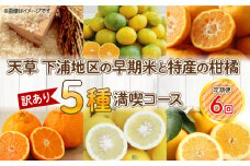 S040-T04_【定期便6回】天草 下浦地区の早期米と特産の柑橘5種満喫セット(訳あり)【先行受付】