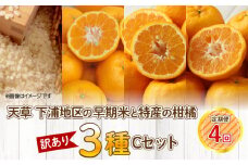 S040-T07_【定期便4回】天草 下浦地区の早期米と特産の柑橘3種Cセット(訳あり)【先行受付】
