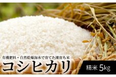 S059-016_令和6年産　潮育ち米 コシヒカリ 精米 5kg