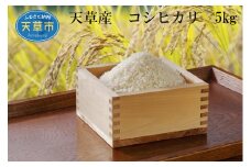 S107-008_2024年産　天草産　コシヒカリ　5kg【先行受付】