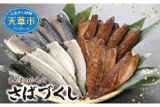 S113-002_まるまのひもの　さばづくし