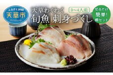 S059-013_天草わくわく旬魚刺身づくし（さく）3～4人前