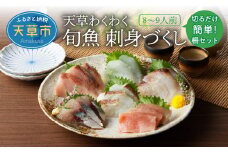 S059-015_天草わくわく旬魚刺身づくし（さく）8～9人前