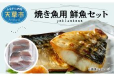 S121-001_焼き魚用　鮮魚セット