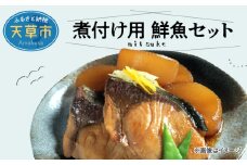 S121-002_煮付け用　鮮魚セット