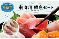 S121-003_刺身用　鮮魚セット
