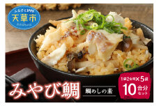 S124-002_みやび鯛 鯛めしの素 5袋セット 本格的な鯛めしをお手軽に♪（1袋2合用）