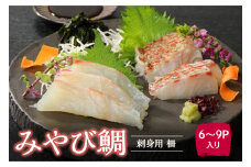 S124-003_みやび鯛 刺身用 柵　900g