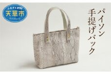 S056-012_パイソン手提げバック