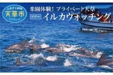 S125-004_楽園体験プライベート天草（ツアー：イルカウォッチング）