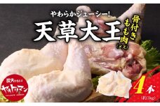 S081-016_天草大王骨付きもも肉（メス）