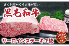 S001-022_【順次発送】A4～A5等級 黒毛和牛 サーロインステーキ 1枚（300g）ステーキのたれ 1本付