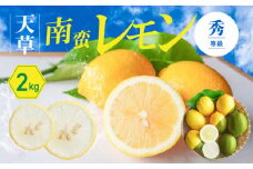 S131-002_天草南蛮レモン　等級「秀」2kg