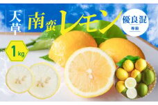 S131-004_天草南蛮レモン　等級「優良混」1kg