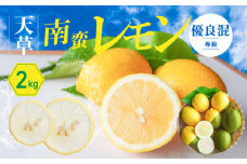 S131-005_天草南蛮レモン　等級「優良混」2kg
