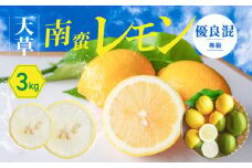 S131-006_天草南蛮レモン　等級「優良混」3kg