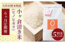 S135-T04_【6ヶ月定期便】天草市栖本町産　小ヶ倉清き米(ヒノヒカリ)　精米 5kg