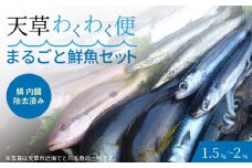 S059-017_【鱗 内臓 除去済み】 天草わくわく便 まるごと鮮魚セット 