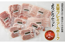 S058-019_天草プレミアムポーク よりどりセット約2kg
