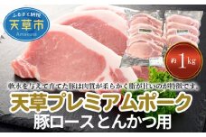 S058-020_天草プレミアムポーク とんかつ用 ロース 8枚 約1kg