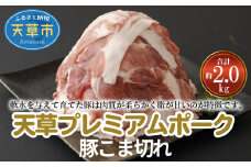 S058-021_天草プレミアムポーク 豚こま切れ 約2.0kg(約500g×4パック)