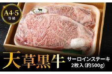 S074-013_天草黒牛 サーロイン ステーキ 2枚入 約500g 黒毛和牛 A4～5等級