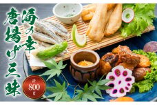 S011-018_【天草産】海の幸唐揚げ三昧