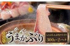 S137-007_【天草育ち/産地直送】活じめ！うまかぶりしゃぶしゃぶ用スライス　300g×２P