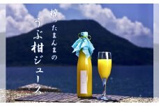 S136-003_搾ったまんまのうぶ柑ジュース