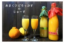 S097-005_あまくさどろっぷすのじゅーす