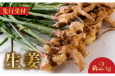 S143-004_生姜約2kg【先行受付】