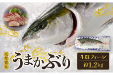 S137-009_【天草育ち】活じめ！うまかぶり生鮮フィーレ 約1.2kg（真空パックでお届け）