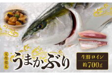 S137-010_【天草育ち】活じめ！うまかぶり生鮮ロイン2節 約700g（切るだけ、手間いらず）