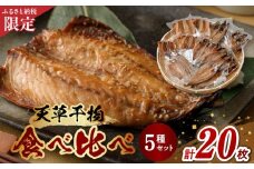 S078-001_ふるさと納税限定 天草干物食べ比べ 5種 20枚セット