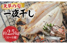 S123-002_天草の旬　一夜干し