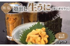 S002-024_殻出し生うに（ガンガゼウニ）50g×2本 うに用醤油付 生うに ミョウバン 不使用 天然 濃厚 新鮮 無塩 高評価 ガンガゼウニ ウニ 瓶詰 海鮮 軍艦巻き うに丼 うにパスタ お取り寄せ お取り寄せグルメ 熊本県 天草市 送料無料
