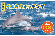 S104-002_天草市イルカウォッチング　2,000円分チケット小人（小学生）