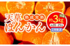 S117-004_香りを食す！熟成完熟天草ぽんかん 2月発送 約3kg秀品〈先行受付〉