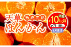 S117-011_香りを食す！熟成完熟天草ぽんかん 2月発送 約10kg箱 秀品〈先行受付〉