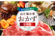 S999-T14_【定期便10回】山と海の幸おかず定期便