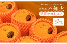 S153-001_天草産 不知火 約3kg【先行受付】