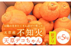 S153-002_天草産 訳あり 不知火 約5kg