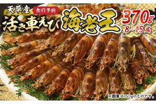 【鮮度抜群】《美味しさの極み》天草産・幸福堂の活き車えび『海老王』（370g）〈先行予約〉※全国_S005-005