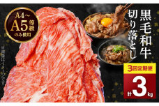 S001-001-T03_10_【定期便3回】A4～A5等級 黒毛和牛 切り落とし1kg（500g×2P）3か月連続お届け【2025年10月発送開始】