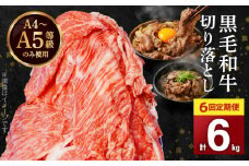 S001-001-T06_12_【定期便6回】A4～A5等級 黒毛和牛切り落とし1kg（500g×2P）6か月連続お届け【2025年12月発送開始】