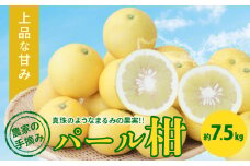 S040-022_農家の手摘み パール柑 約7.5kg〈先行受付〉