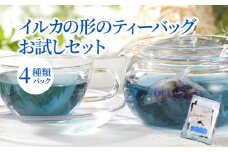 S103-006_イルカの形のティーバッグ　お試しセット