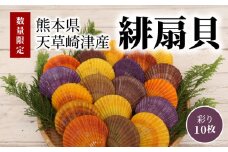S021-004_熊本県天草崎津産 緋扇貝（ひおうぎがい）彩り 10枚【先行受付】
