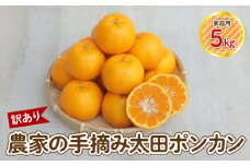 S040-027_【訳あり】農家の手摘み 太田 ポンカン 家庭用約5kg